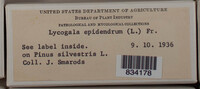 Image Associated With the Occurence